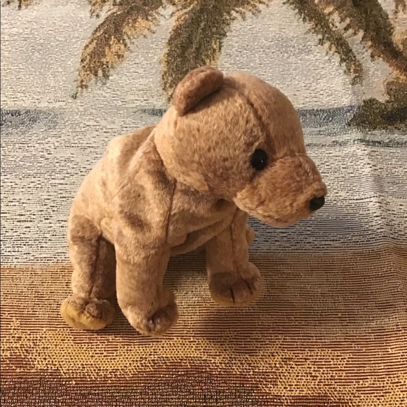 TY beanie babies Pecan bear brown BD 4/15/99. Clean bad protected - Picture 2 of 8